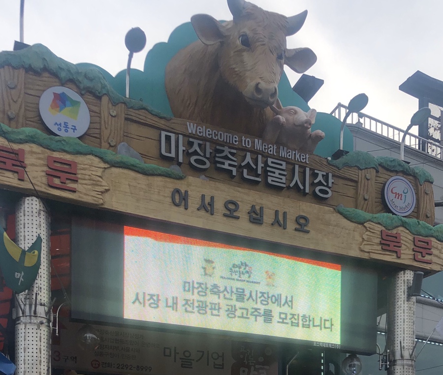 팔마장 이미지
