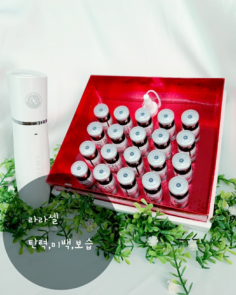라셀 이미지