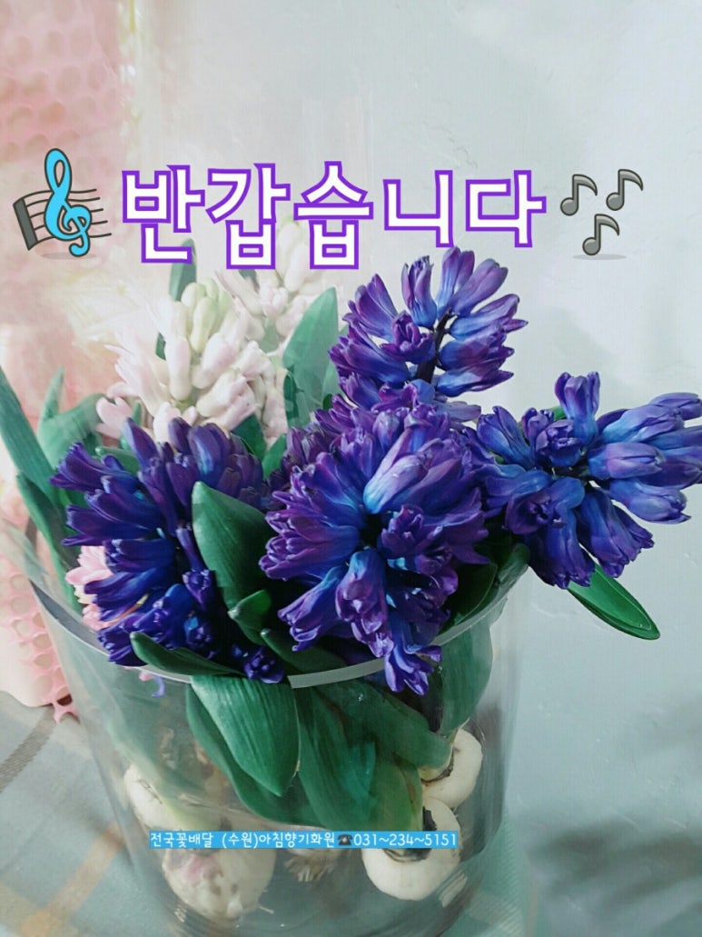아침향기화원 이미지