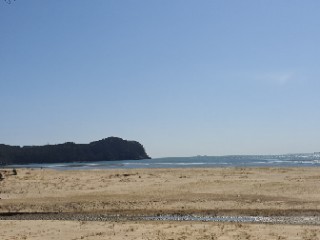 더자라다 이미지