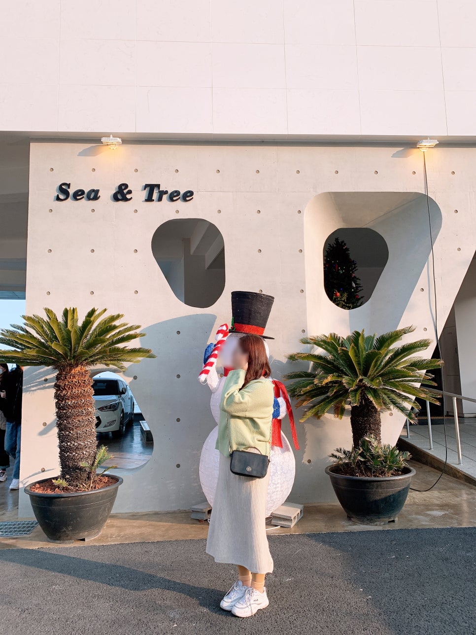 씨앤트리(Sea&Tree) 이미지