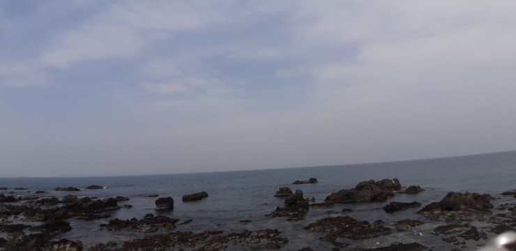 새봄주유소 이미지