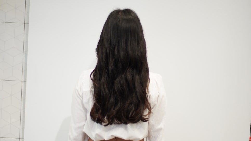 모이모이 이미지
