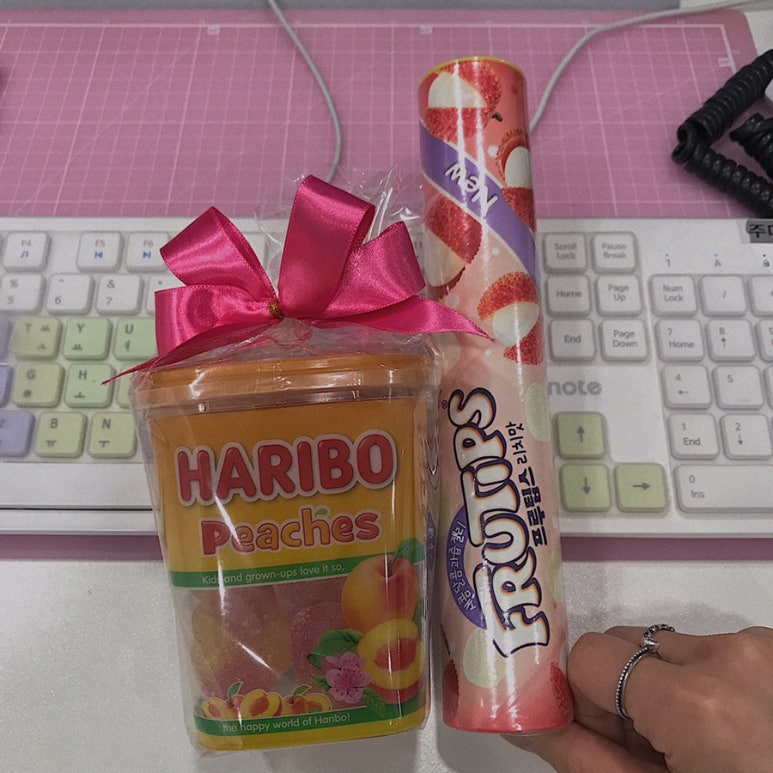 리치파 이미지