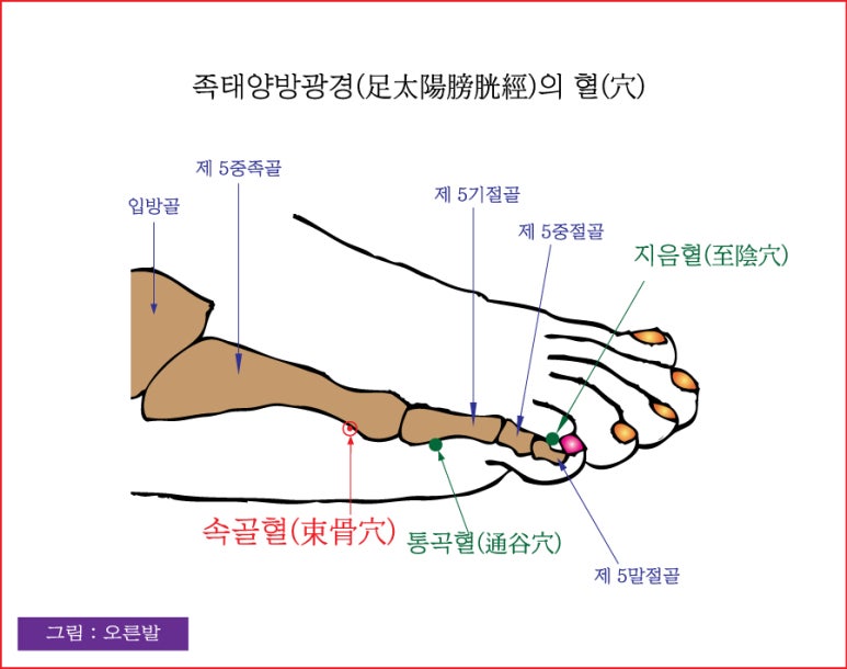 (주)경맥 이미지