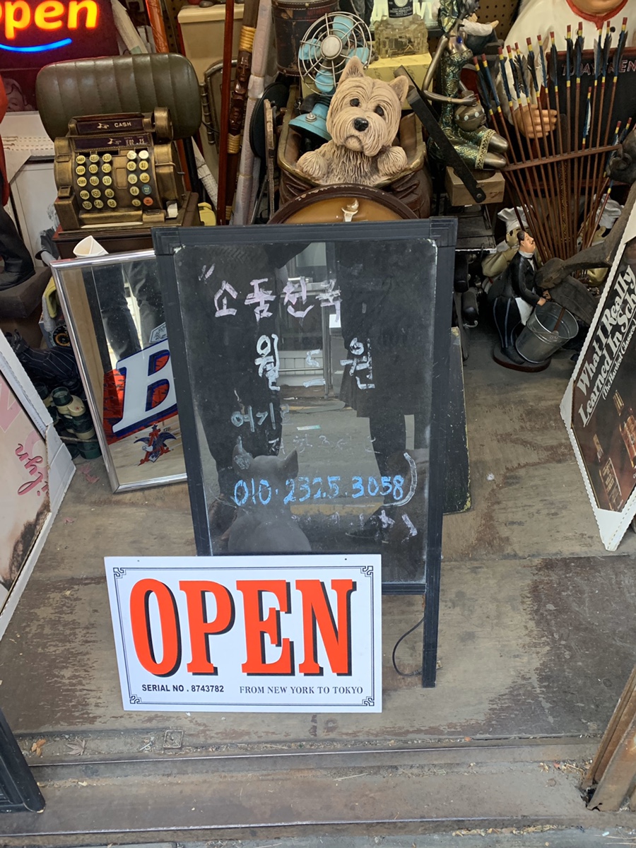 더월드원 이미지