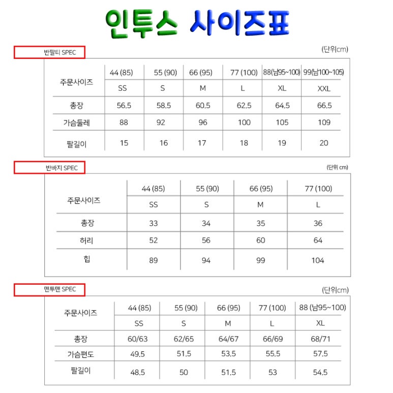 인투스 이미지