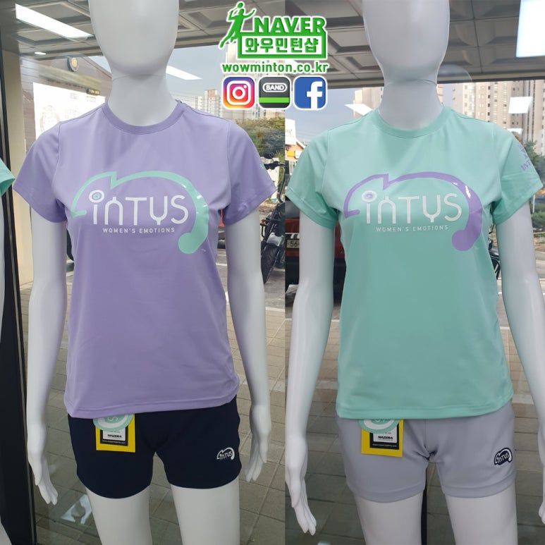 인투스 이미지