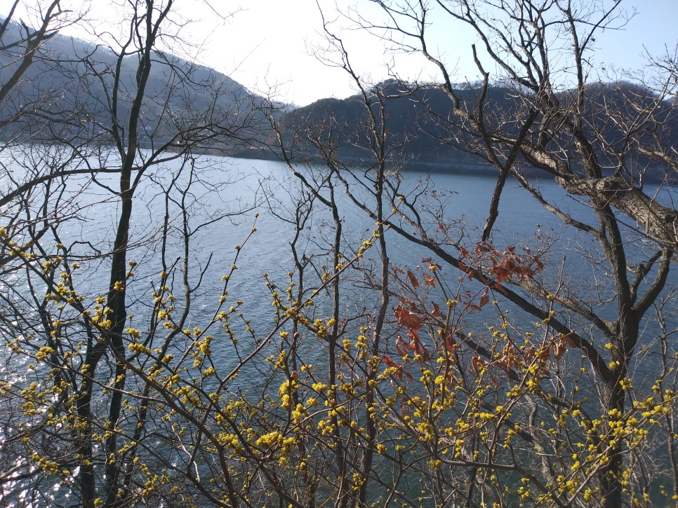 안산의료복지사회적협동조합새안산상록의원 이미지