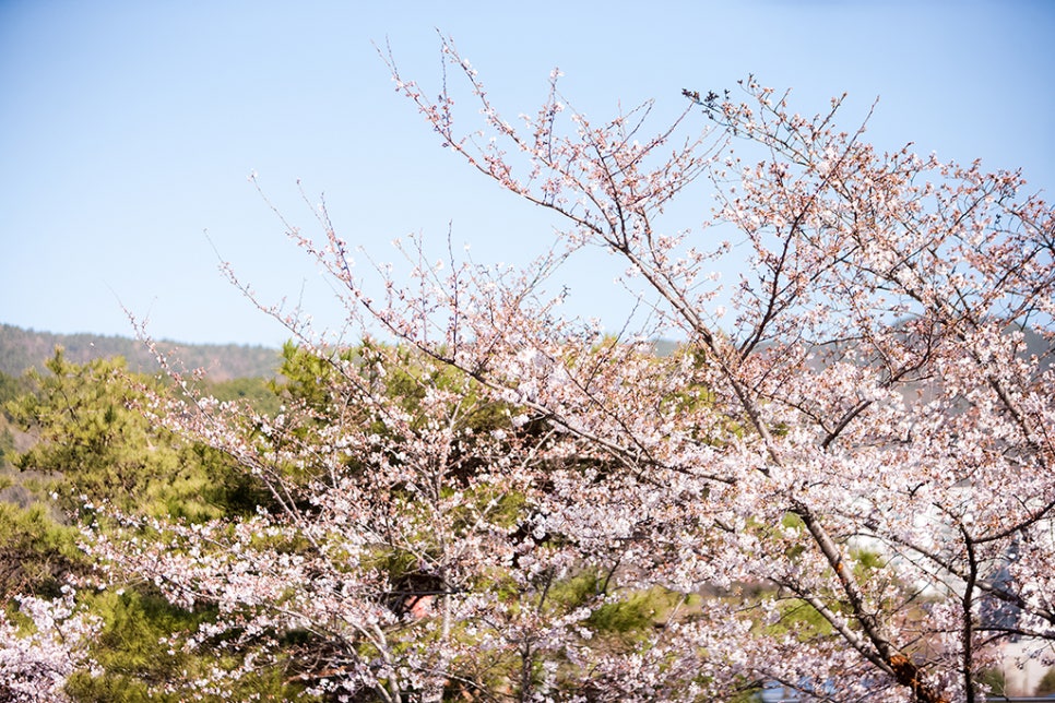사직종합운동장 이미지