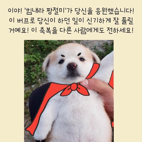 지크센트 이미지
