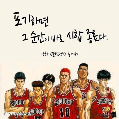 샵돼일리 이미지