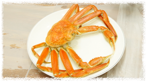 싱싱횟집식당 이미지