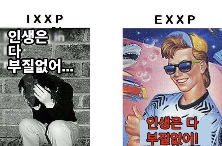 테일러 사운드 이미지