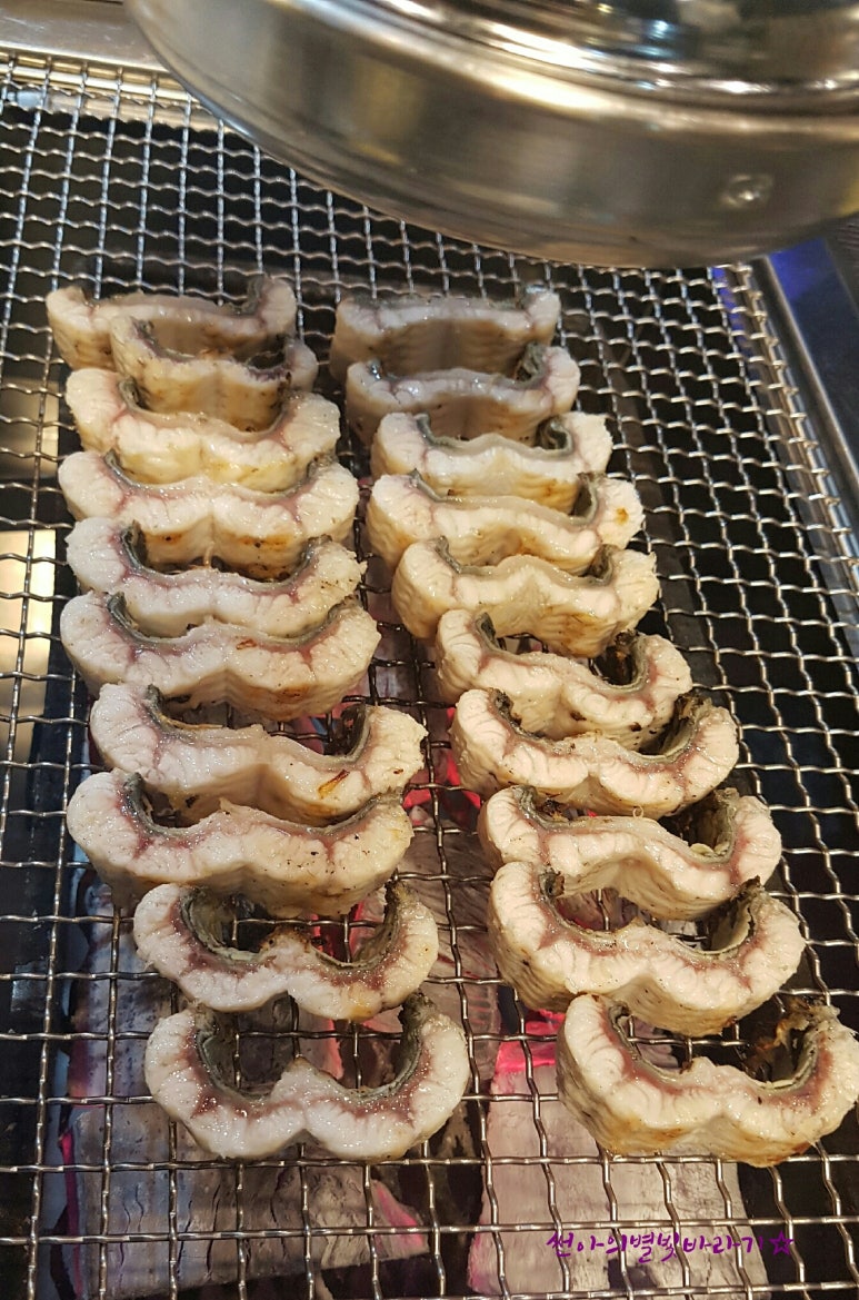 황당한장어 이미지