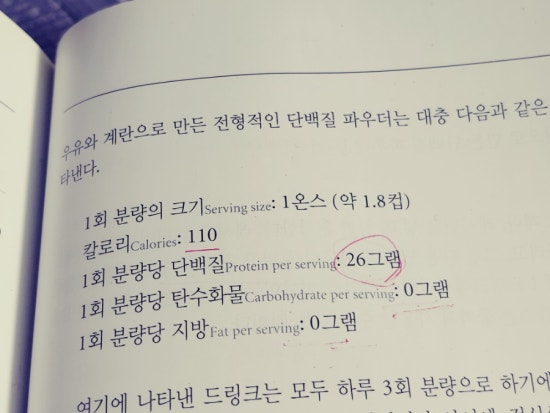 슈웨제네거 이미지