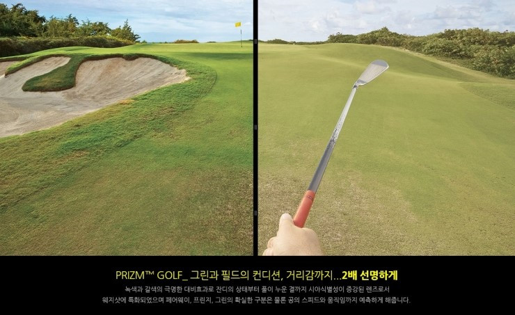 헤어오클리 이미지