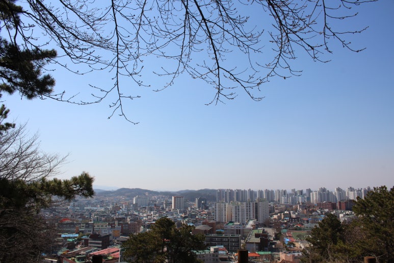 봉비 이미지