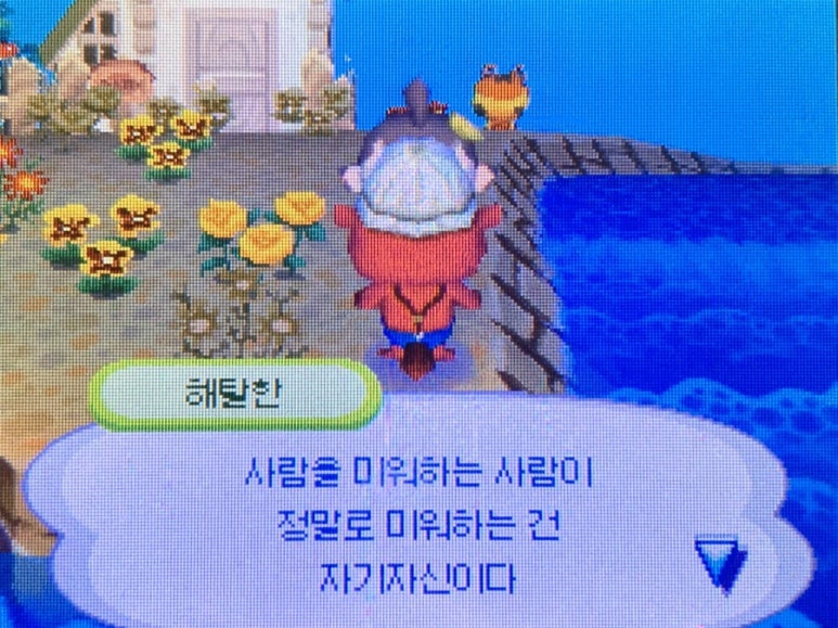 안쵸비 이미지