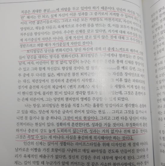 슈웨제네거 이미지