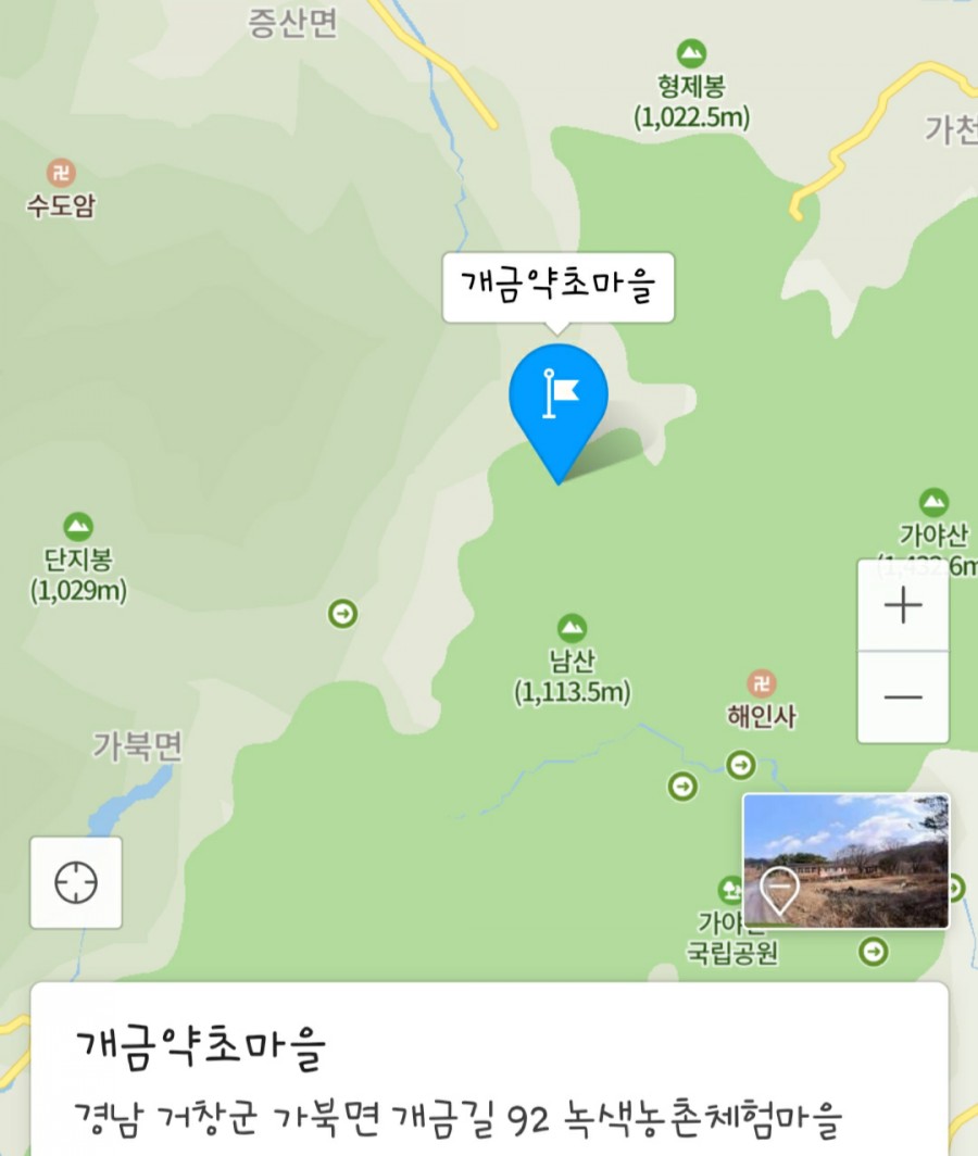 개금약초 이미지