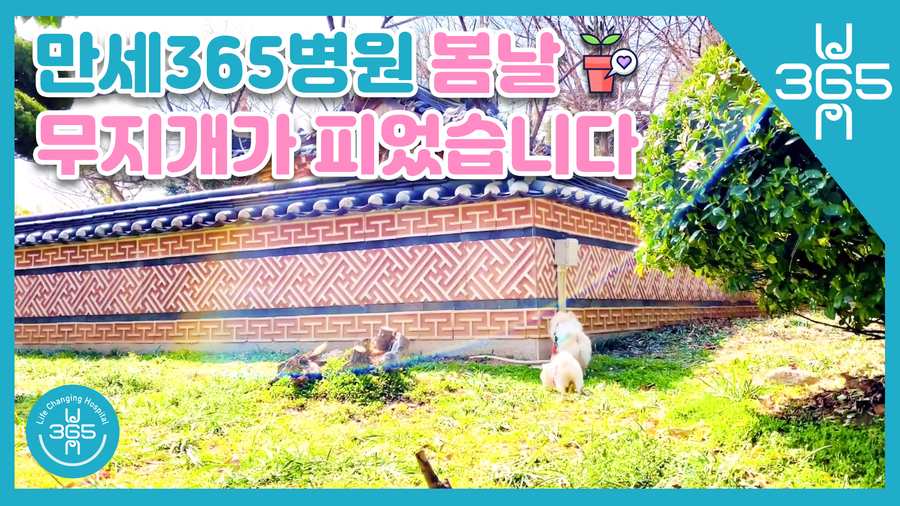 건강만세365병원 이미지