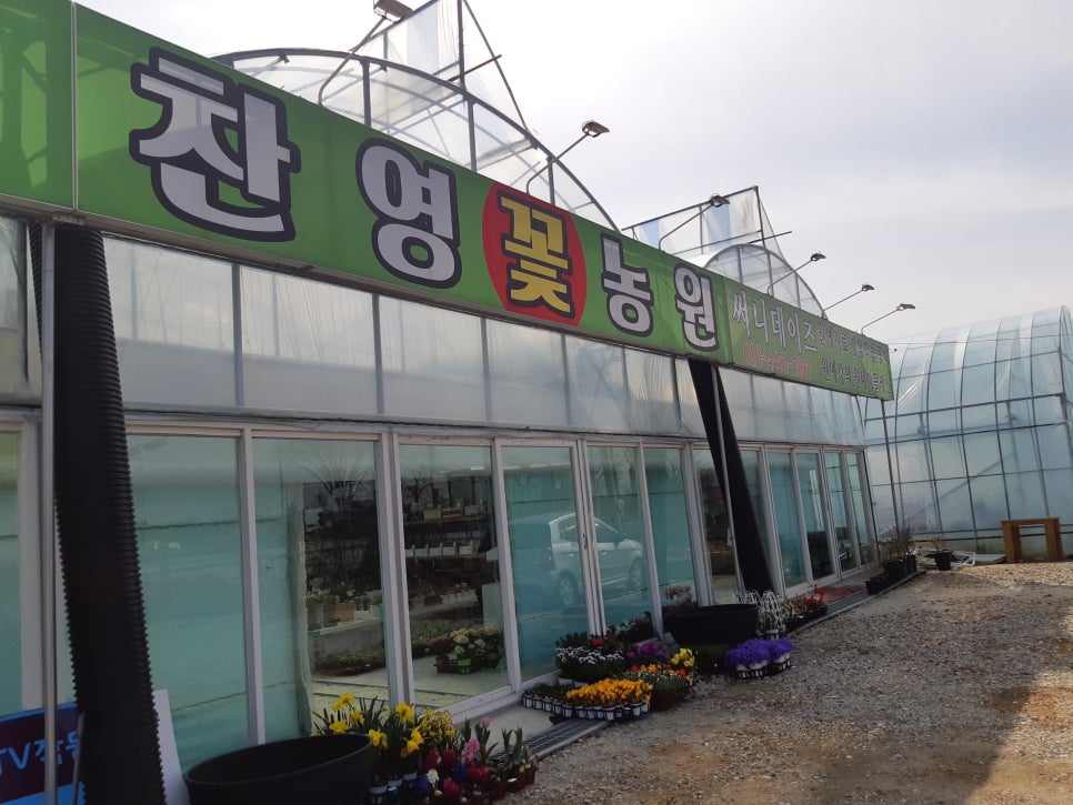 찬영꽃농원 이미지