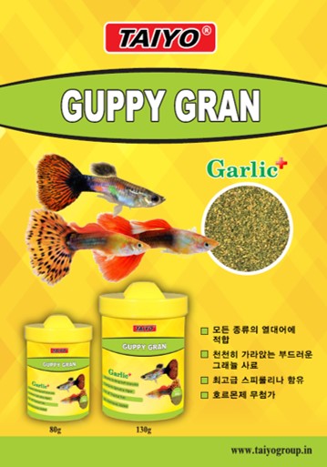 타이요 이미지