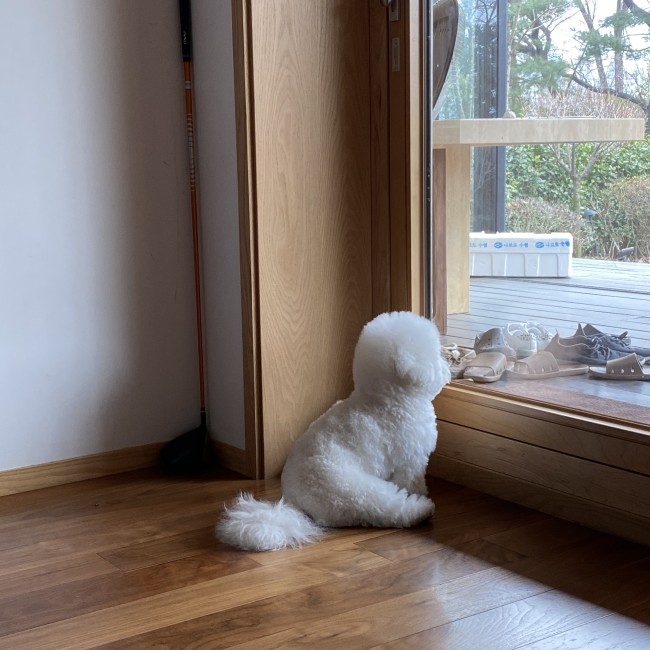 호스팅하우스 이미지
