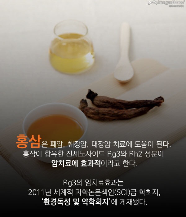 일품진성 이미지