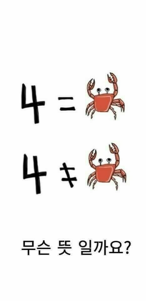 명동해물손칼국수 이미지