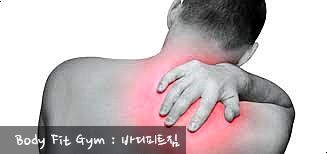 바디피트짐 이미지