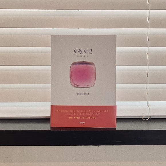 모월모일 이미지