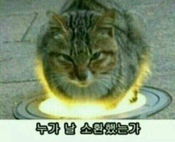 식도락푸드 이미지