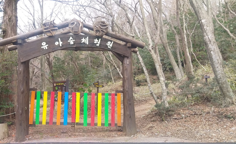 푸리롱 유아숲체험원 이미지