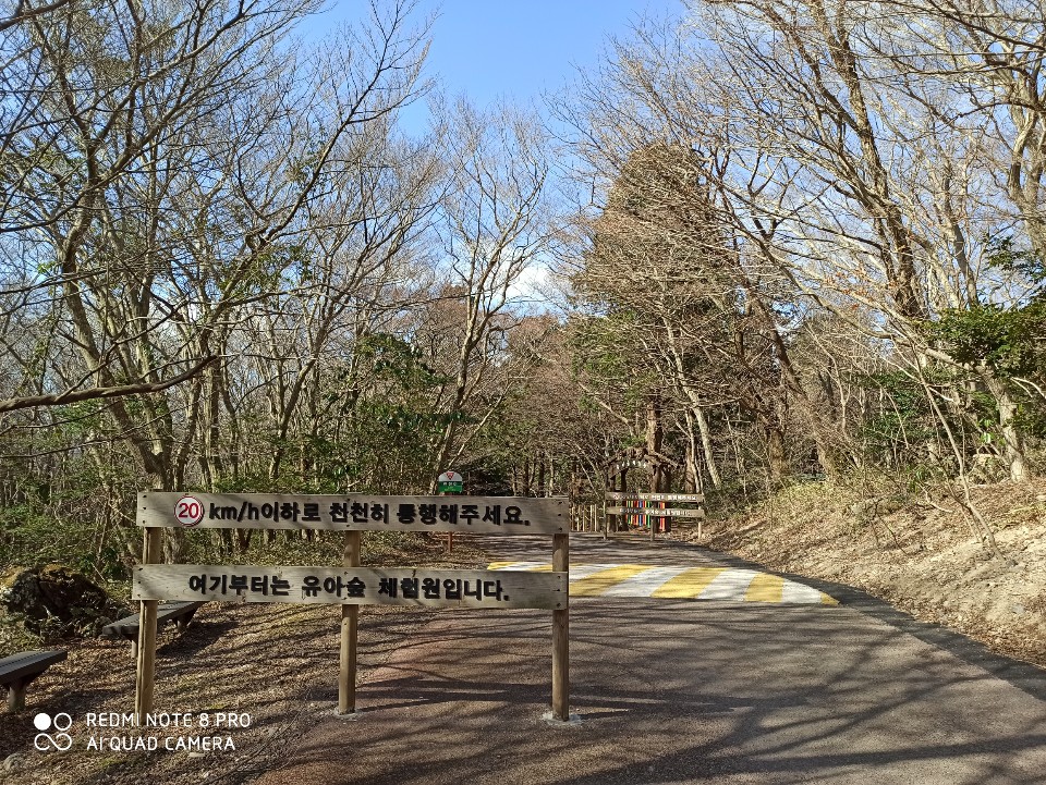 푸리롱 유아숲체험원 이미지