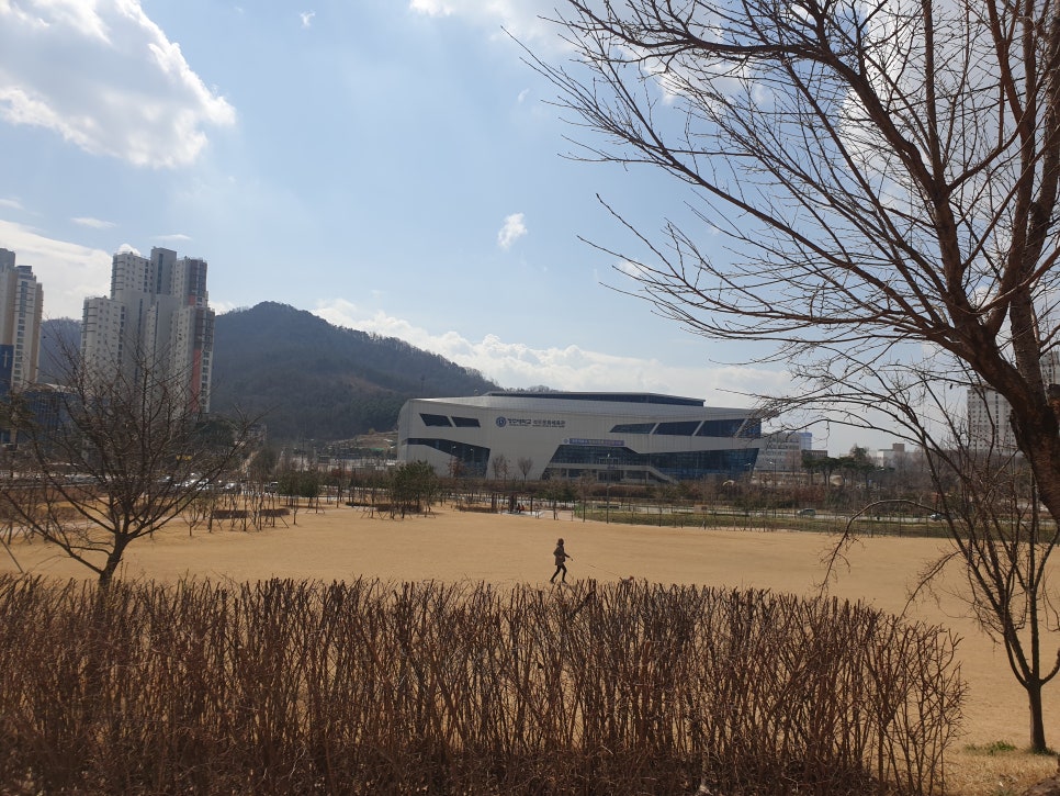 푸름약초 이미지