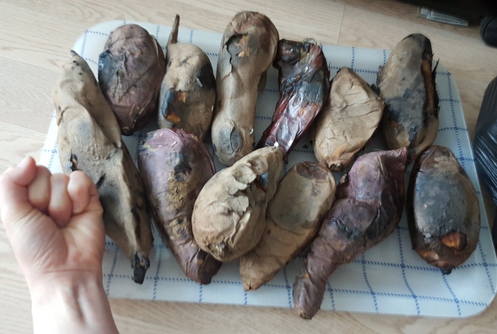 창대상회 이미지