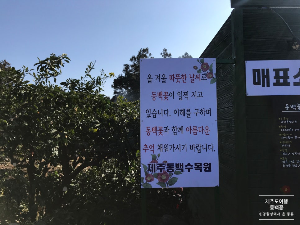 (주)동백투어 이미지