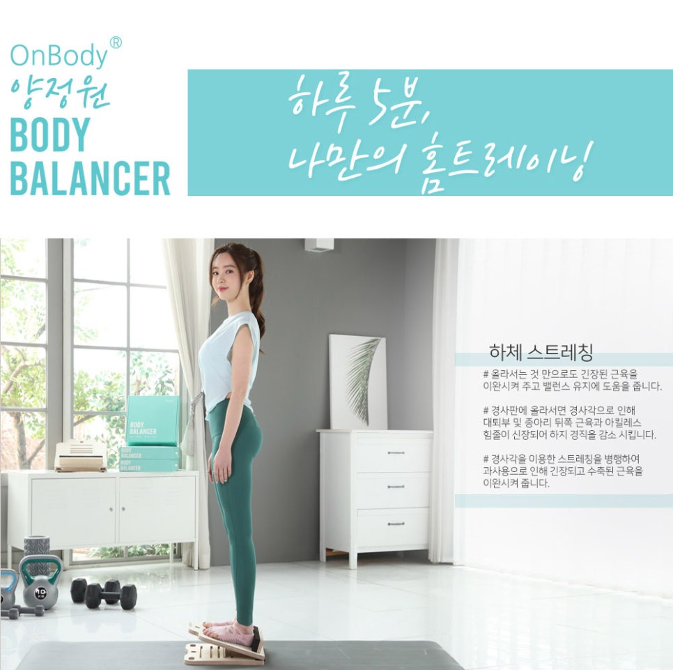 온바디 이미지