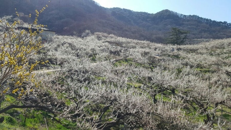 로가디스전주 이미지