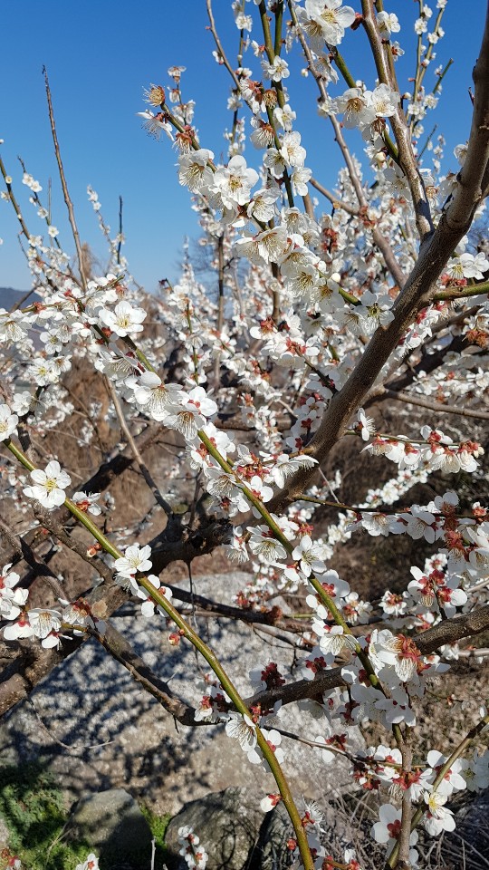 로가디스전주 이미지