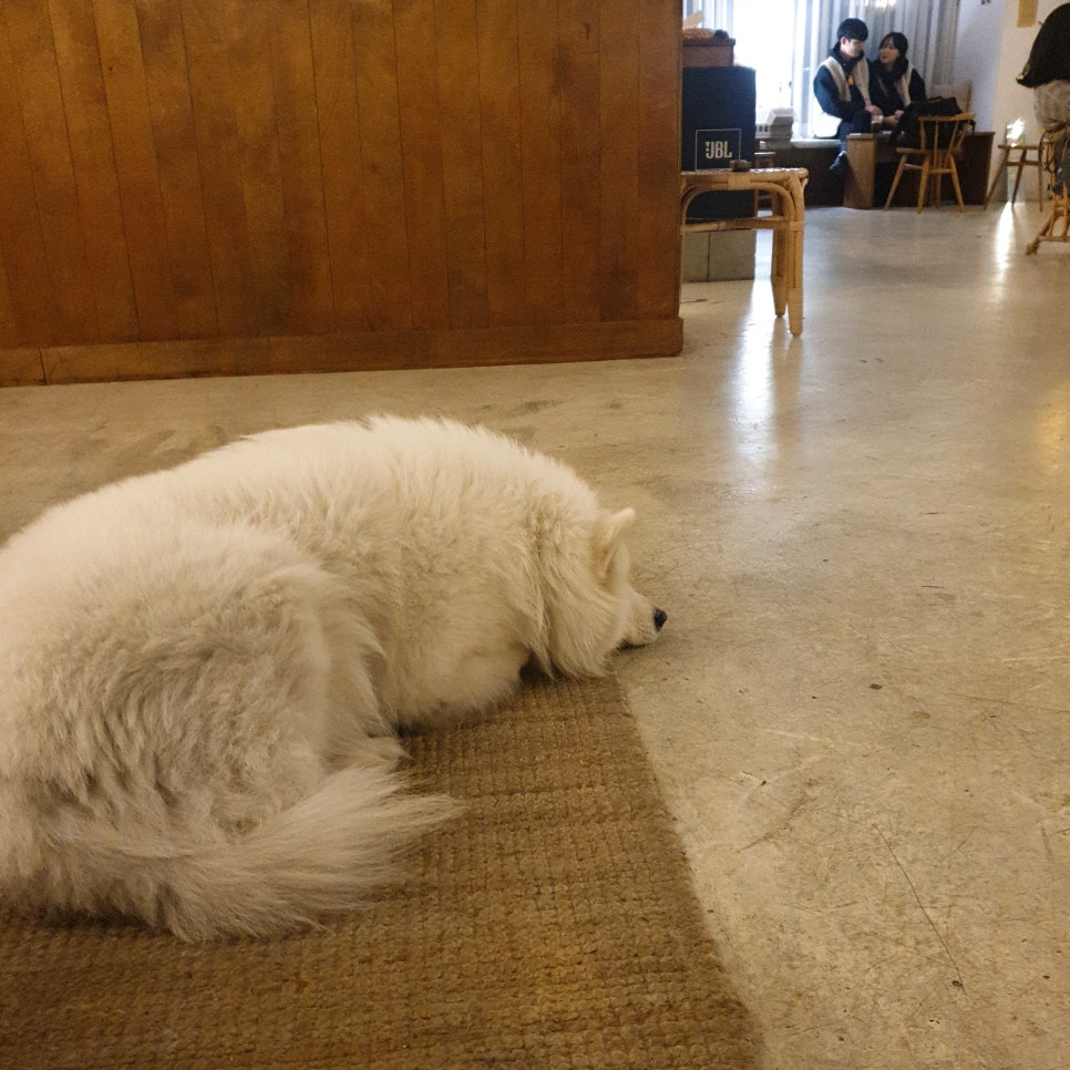 커피봉자 이미지