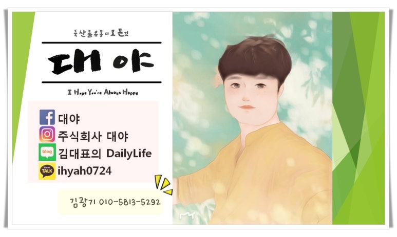 주식회사 카카오 이미지