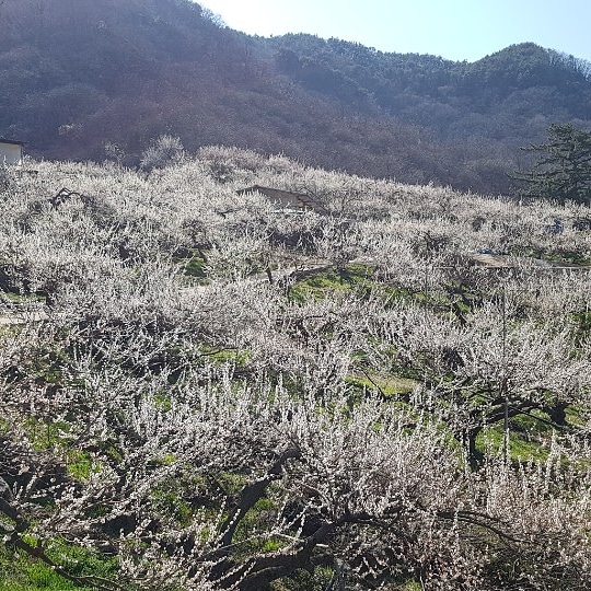 로가디스전주 이미지