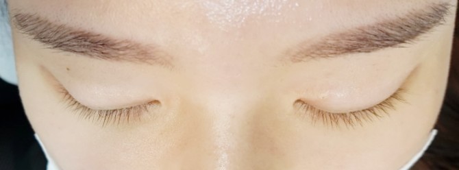눈썹쟁이 이미지