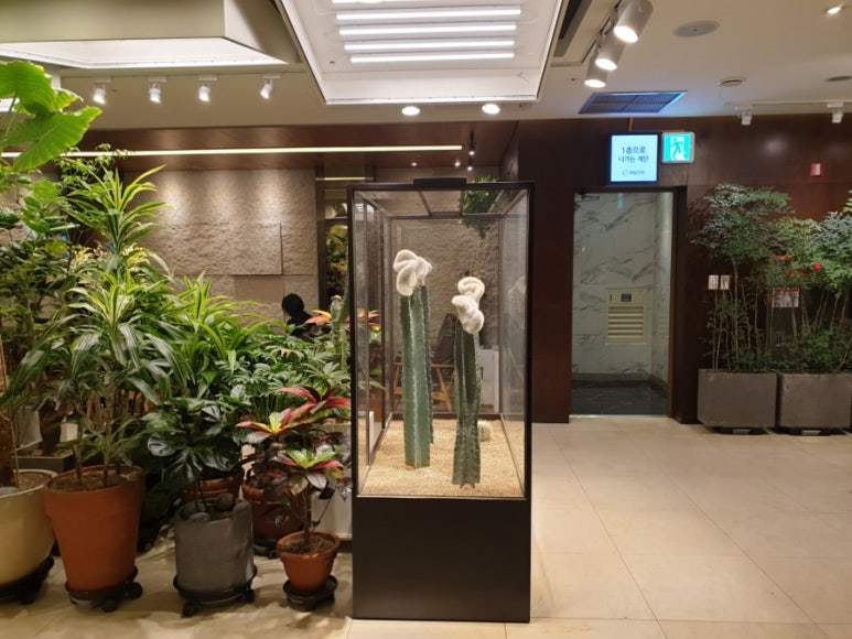강남안과의원 이미지