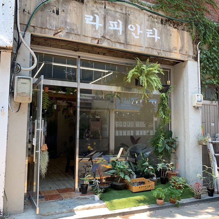 대성꽃집 이미지