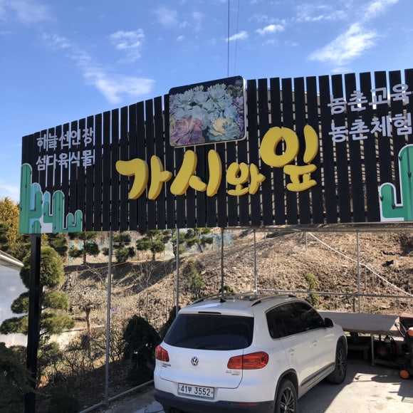가시와다육이 이미지