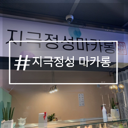 지극정성마카롱 이미지